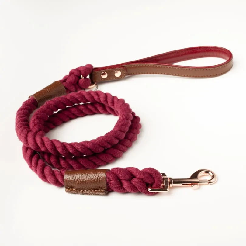 Willow Walks Rope Lead Bundle in Brown and Berry SAVE £6